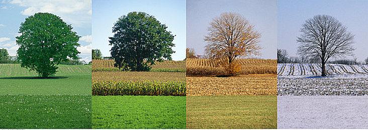 《人中之龙8》角色介绍 1月26日发售